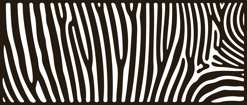Zebra texture logo. Isolated zebra texture on white background