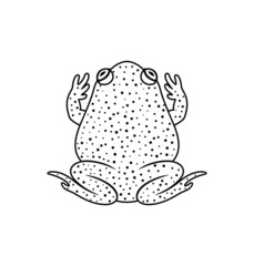 Frog outline. Abstract frog on white background. Toad