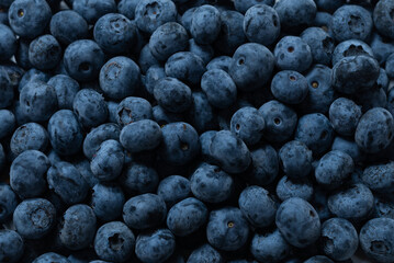 Group of fresh blueberry isolated on a white background.