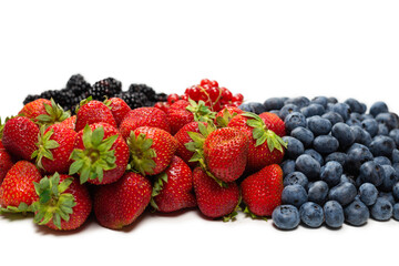 Blackberry, raspberry, blueberry,  red currant and mint background.