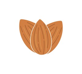 Almond icon. Nut vector illustration isolated on white background.