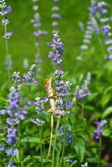 Lizard or chameleon on the branches in flower garden
