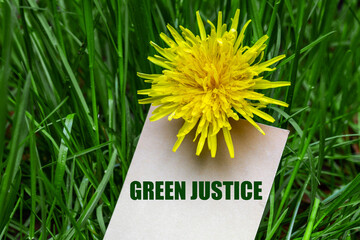 Green justice