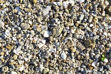 Pebbles on the seashore- organic abstract nature design background. 