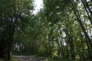 A beautiful summer day in Kokkola, Finland