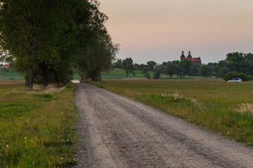 Meadow in summer, Ladek, Landscape Park, Poland. - obrazy, fototapety, plakaty