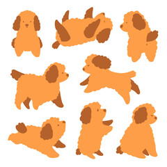 Cute cartoon illustration with toy poodle puppy in different poses. Brown curly cute puppy collection set. Lovely animal pet with different emotions in flat doodle style. Isolated on white background