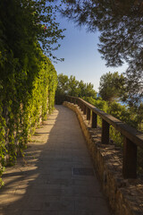 Obraz premium path with fence along the sea coast, surrounded by pines and grape