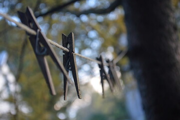 clothesline between trees