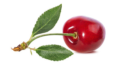 Cherry isolated on white backgroundd