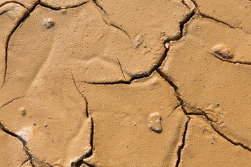 background texture of cracks in clayey soils