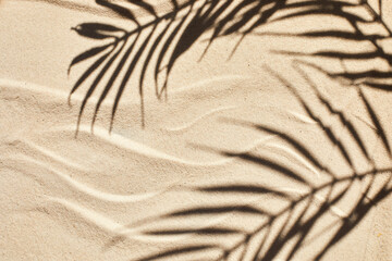 Fototapeta na wymiar Sand texture. Sandy beach with palm shadow for product background. Top view