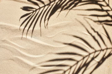 Zelfklevend Fotobehang Sand texture. Sandy beach with palm shadow for product background. Top view © vetre