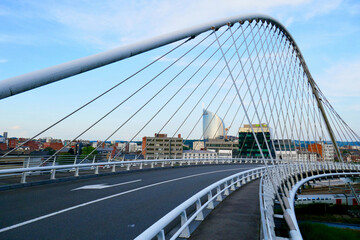 Modern bridge and Liège cityscape