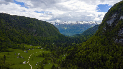Voye valley in slovenia near lake bohinj with beautiful green forests.