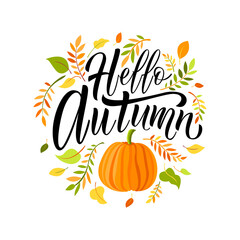 Hello Autumn is a beautiful slogan vector with colored leaves and pumpkin