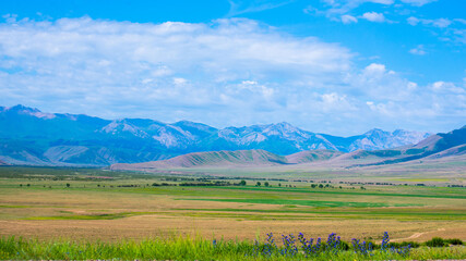 Landscapes of Raimbek region on sunny summer day. Road A-351 near Kainar village, Kazakhstan