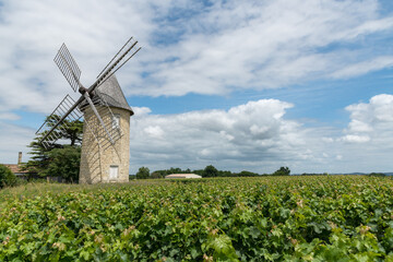 MEDOC (Gironde, France), moulin dans les vignes