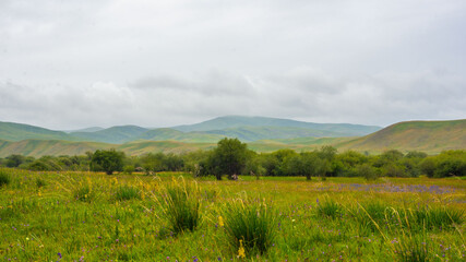 Fototapeta na wymiar Rural landscape in Raimbek region, Kazakhstan. Road A-351