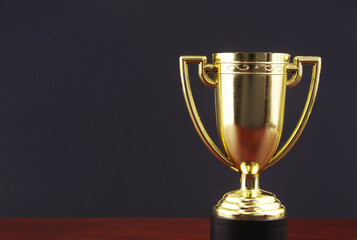 Golden trophy cup with copy space for text