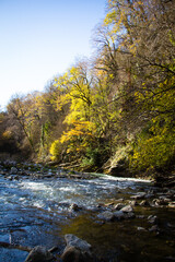 Blue river water and grey mountains with green woods