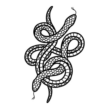snake doodle illustration, traditional tattoo, vector line illustration