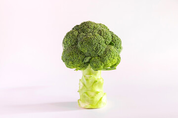 Broccoli is an edible green plant in the cabbage family (Brassicas) isolated on white background.
