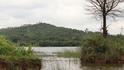 Fototapeta na wymiar lake in the woods Gulakamale Lake, Bengaluru beautiful landscape