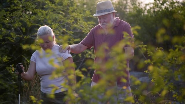 Senior couple walk in the forest, a concept of exploration and adventure for the elderly