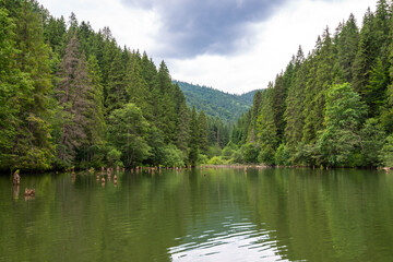 Obraz premium View from the beautiful Lacu Rosu in romanian, Gyilkosto in hungarian , Red Lake in english in Transylvania, Romania.