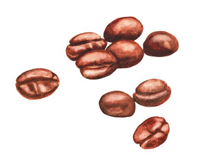 Group of coffee beans. Watercolor