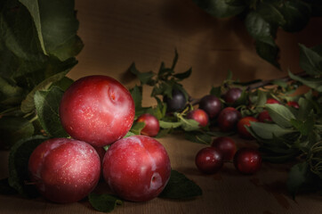 Fototapeta na wymiar ripe juicy plum