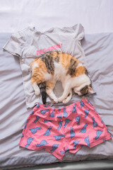 Dino Snore