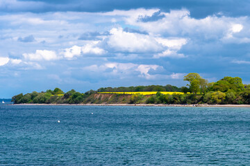 Frühling an der Ostsee am Timmendorfer Strand mit einem blühendem Rapsfeld in den Dünen
