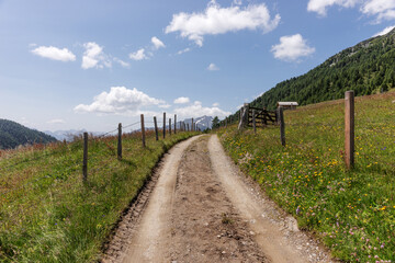Fototapeta na wymiar Alpine small mountain road and hiking trail path in the alps