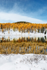 Autumn forest is reflected in a clear mountain lake. Change of seasons. Sunny frosty day in mountains.