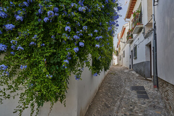 View of the albaicin neighborhood (Albayzin) in the city of Granada. Spain
