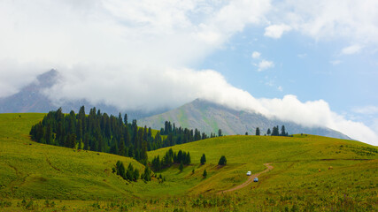 Fototapeta na wymiar Summer pastures dzhailau in Kegen region. Summer cloudy day in mountains