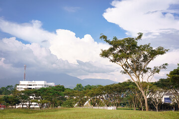 Fototapeta premium view of the city