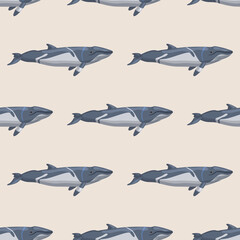 Seamless pattern lesser rorqual on beige background. Template of cartoon character of ocean for fabric.
