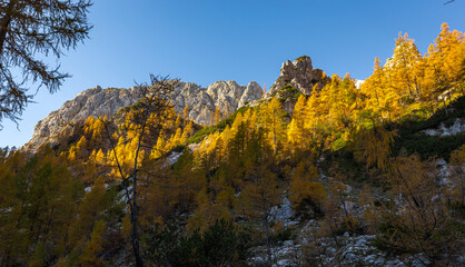 Autumn colors forest valley cliff crag mountain ridge.