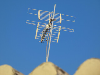 Antenna