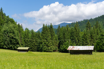 Traditional wooden barns on a meadow in the Bavarian Alps	