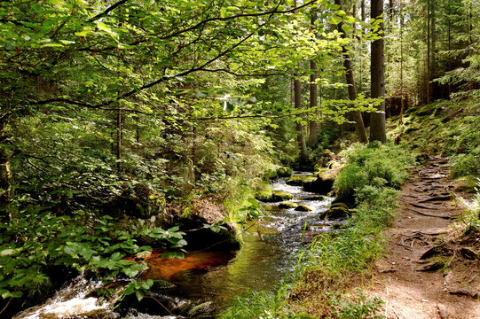 Naturpfad am weissen Main im Fichtelgebirge