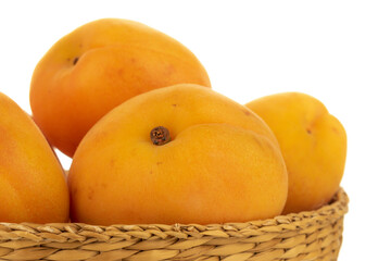 apricots in a basket