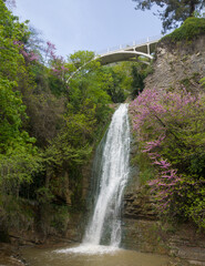 Botanic garden in Tbilisi - attraction for tourists