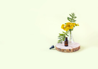 tansy flowers and a bottle of tansy oil on a tree cut. the concept of health from nature © Irina