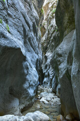 Stream Bed
