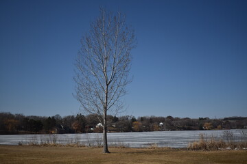 Lake McCarrons in Very Early Spring