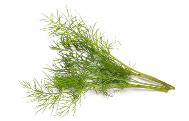 bunch fresh, green dill on a white background close up